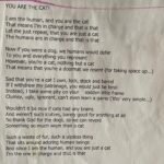 You are the Cat